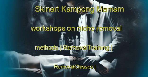 Skinart Kampong Mamam workshops on niche removal methods | RemovalTraining | RemovalClasses | SkinartTraining-Singapore